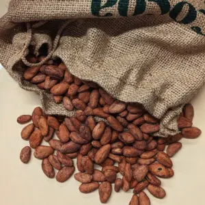 cocoa beans
