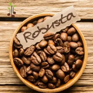 Home Robusta Coffee