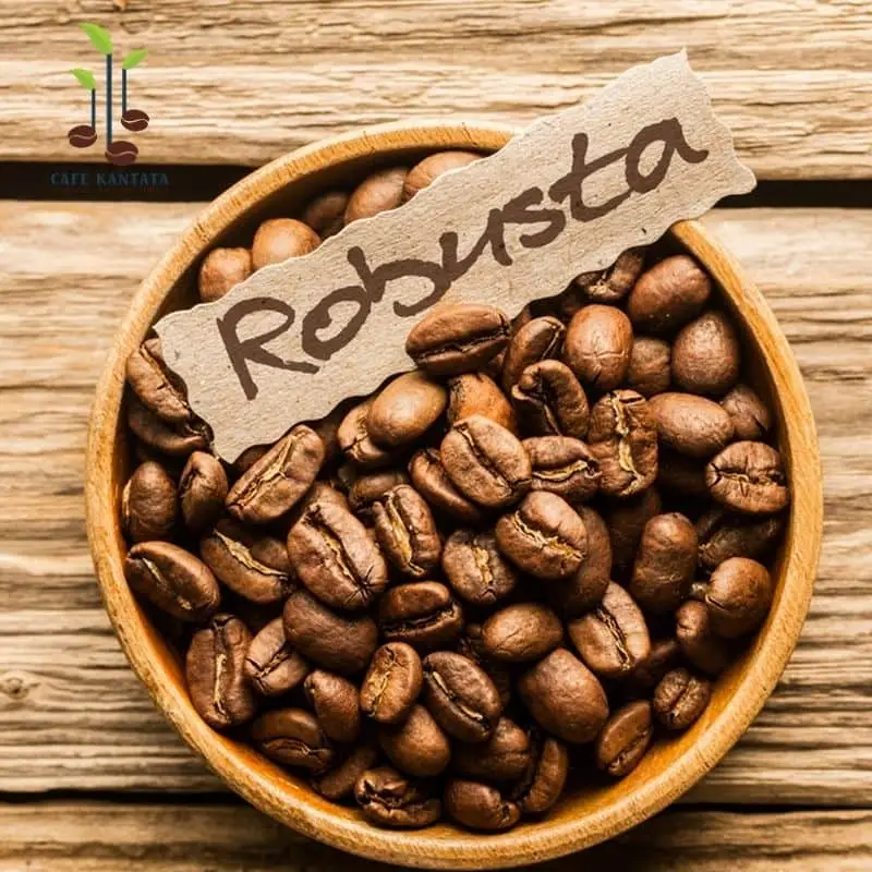 Robusta Coffee Robusta Coffee