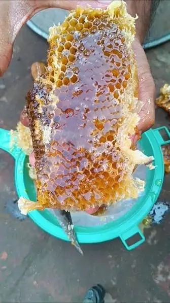 Honey Raw honey