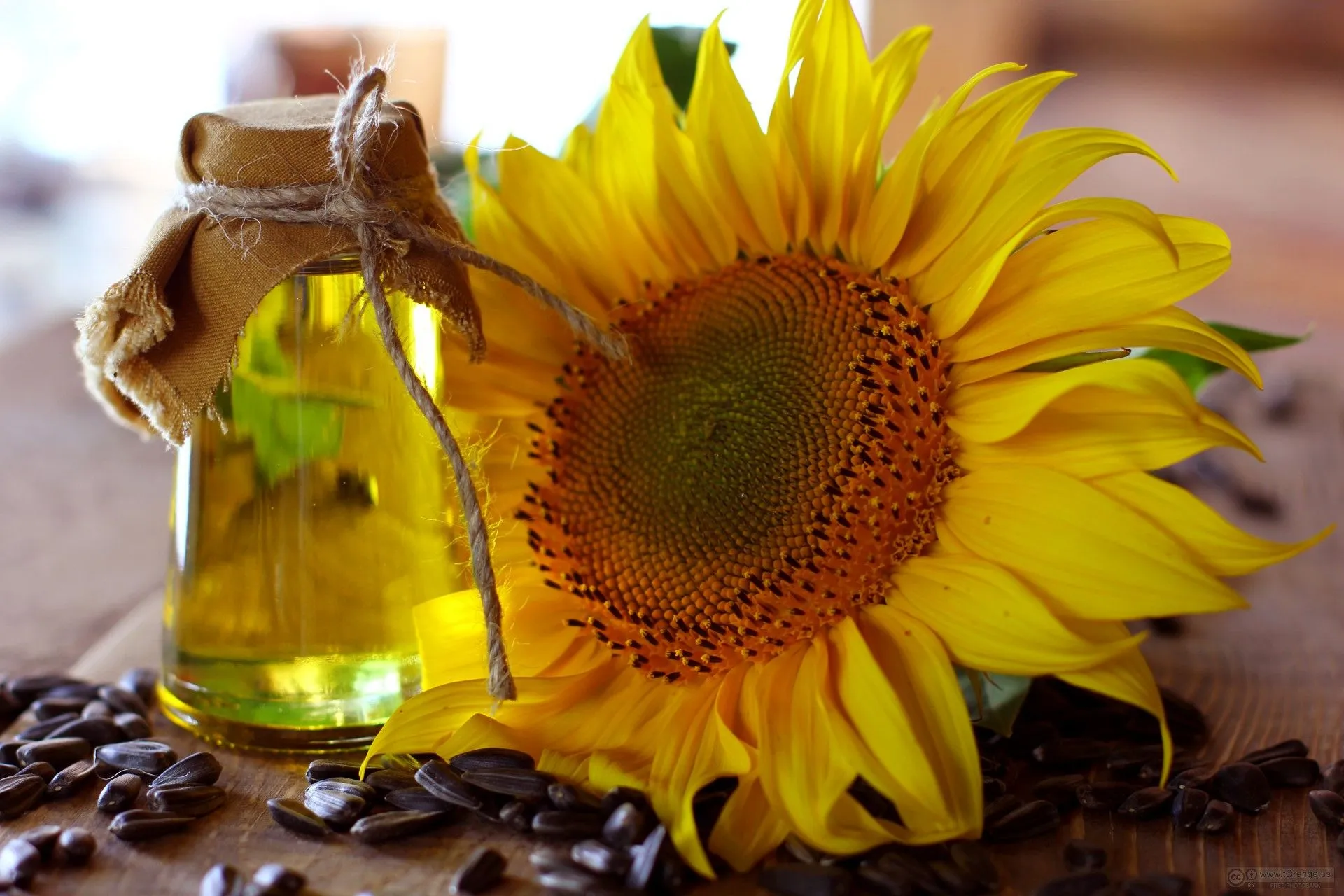 Pure Sunflower Oil Pure Sunflower Oil
