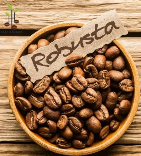 Robusta Coffee