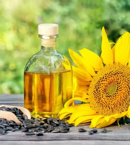 benefits of sunflower oil
